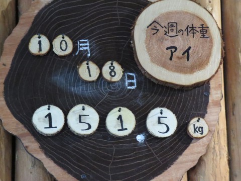 アイ