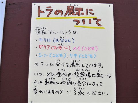 シン・リキ・オリト