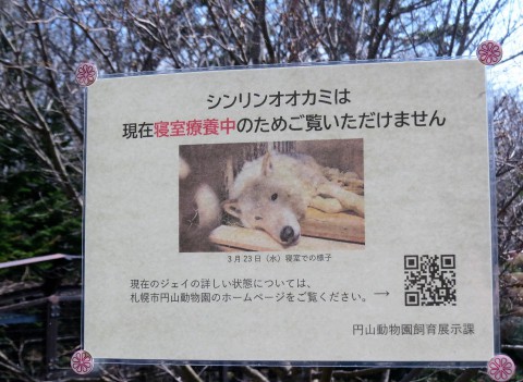 ジェイ