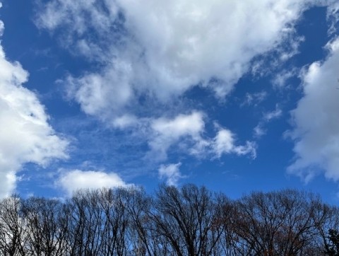 今年最後の小春日和