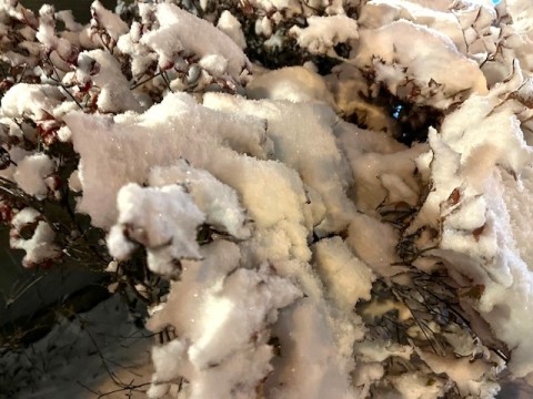 一気に雪化粧