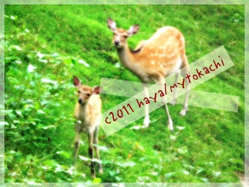 野中温泉で混浴!?&(≧ω≦ )泣きたいのはこっち!