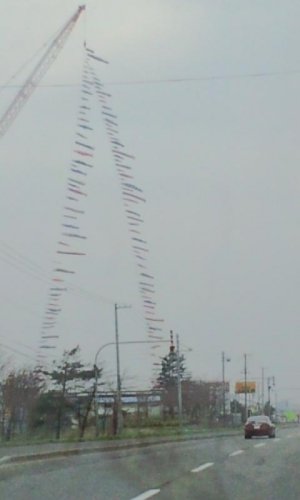 理由はないしょ