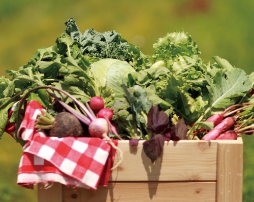 箱売り野菜ちらし