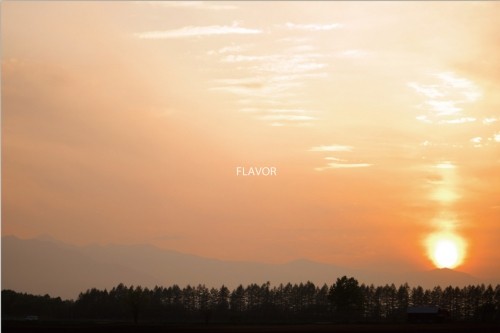 FLAVOR(フレーバー)さんホームページデザイン