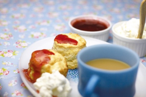 joshi-no-kanzume(ジョシノカンズメ)別冊始動!!