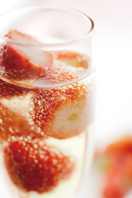 BRONCO（ブロンコ）ノンアルコール宴会リーフレット制作