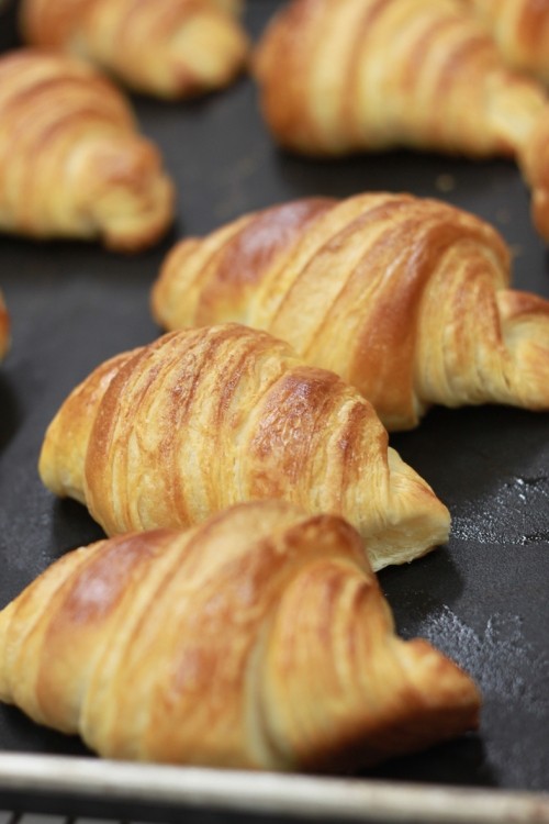 麦音さんパン教室(クロワッサン編)