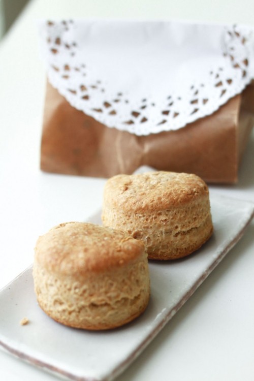 写真カフェのお知らせ