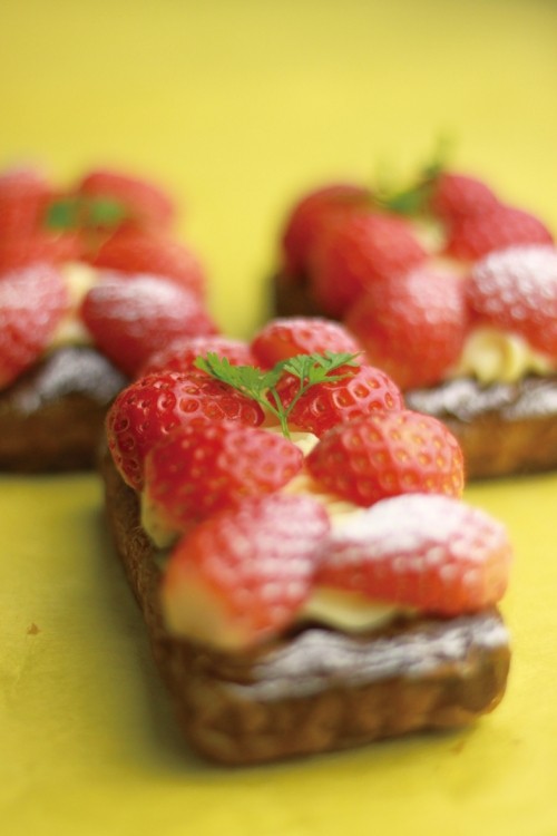 写真構図講座。ありがとうございました。