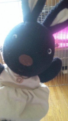 ねぇねぇ