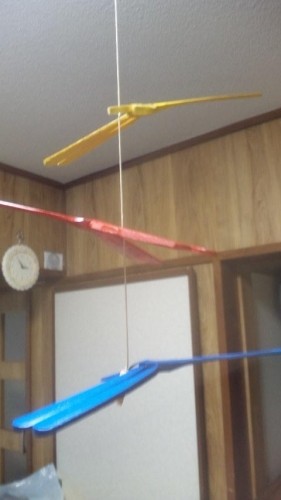 不思議なトンボ
