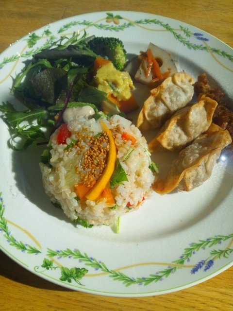今日の日替わりランチ