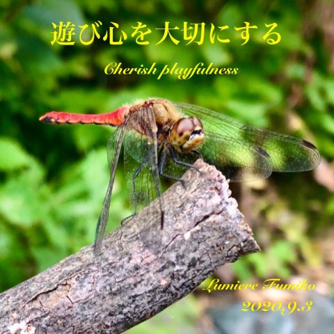 9月3日の心の羅針盤~デイリーエナジーメッセージ