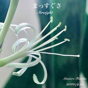 9月15日の心の羅針盤~デイリーエナジーメッセージ
