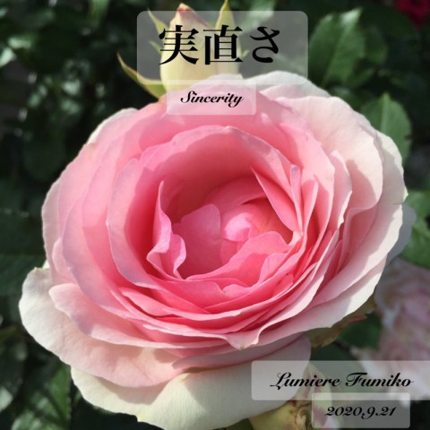 9月21日の心の羅針盤~デイリーエナジーメッセージ