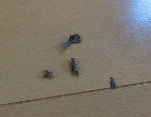 おばぁちゃん洗濯機 嫁の独り言。。。。