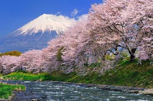 世界の絶景　癒しのご提供(*^^)v