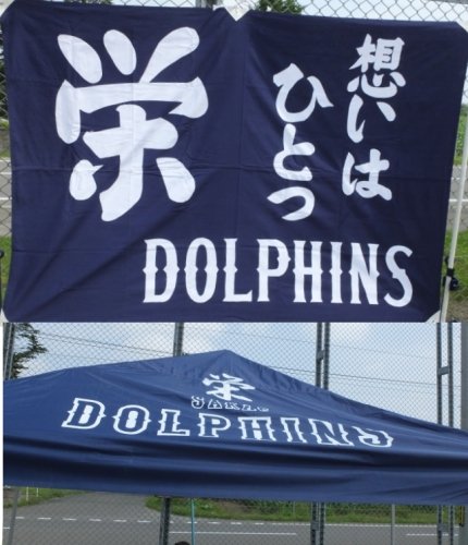 栄ドルフィンズついに!!ついに!!ついにーーー( ´θ`)ノ