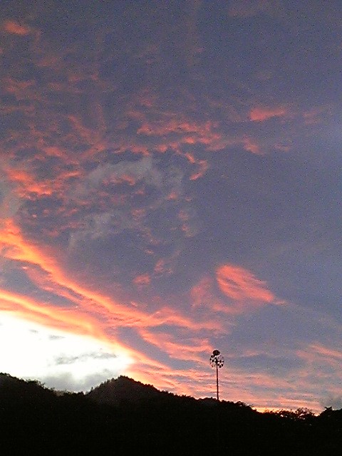 昨日の夕焼け。