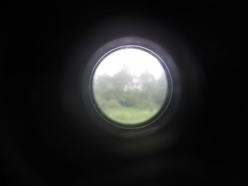 アリを観察できる力