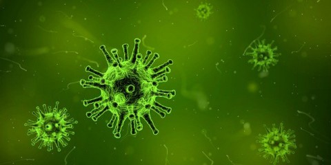 ウイルスや細菌を撃退するアロマ～厳選7種の香りで気持ちよく除菌する方法