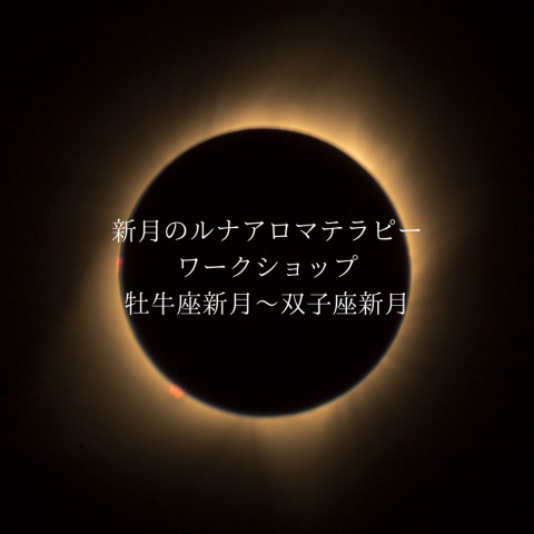 牡牛座新月に向けて〜価値あるものを探して〜