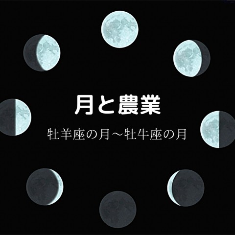 月のリズムで農作業　今日はふたつのことができる!