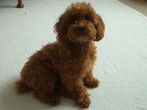 お散歩の後に・・