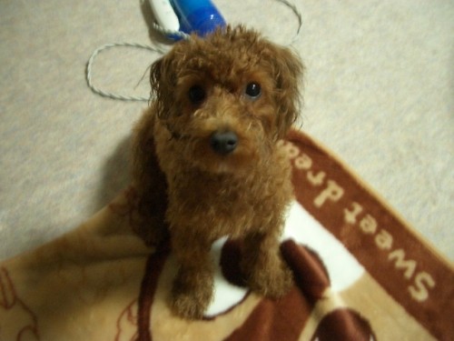 はぁ～ビバノンノン♪