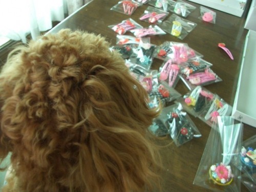 売れるといいですけど・・