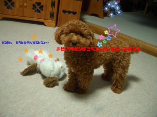 にひっ!!勝ちました・・