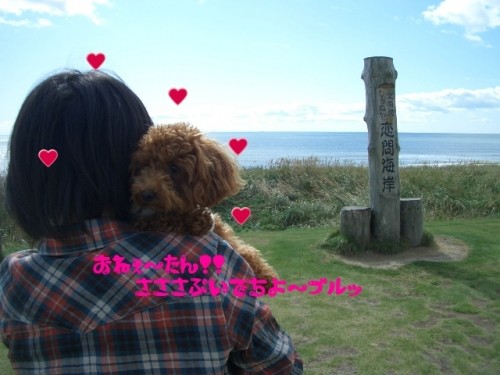 いざ!!恋問の海～