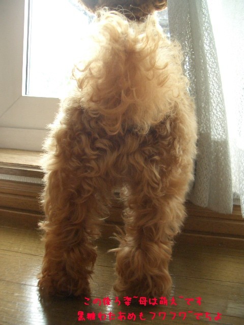 後ろ姿に萌え～