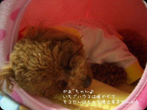 眠くて眠くて・・・