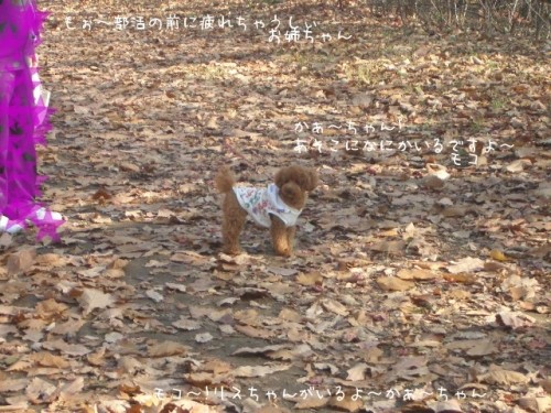 緑が丘公園に行きました