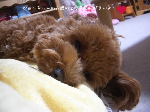 気持ちが良いのよ～