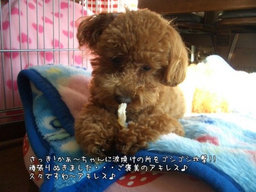 ゴシゴシ攻撃の後の・・・