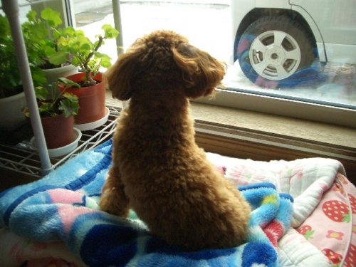 んっ!なんだぁ～