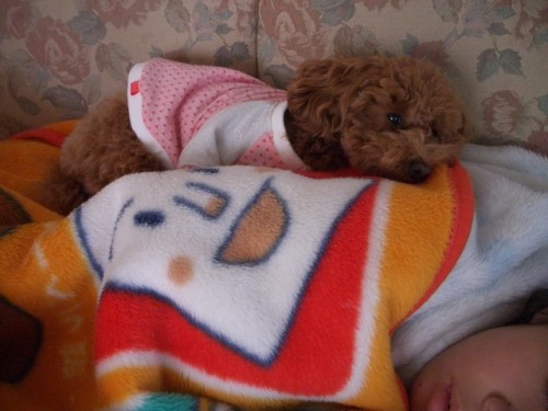 モコが温めてます