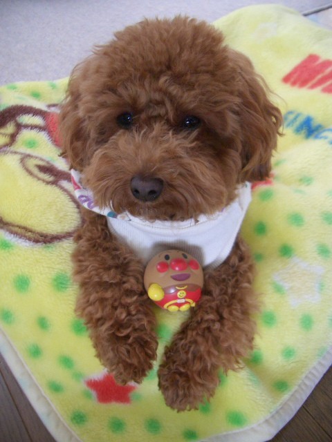 運動不足なんですの~