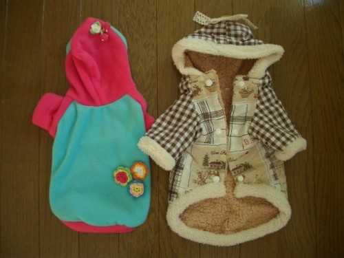 買っちゃいました~