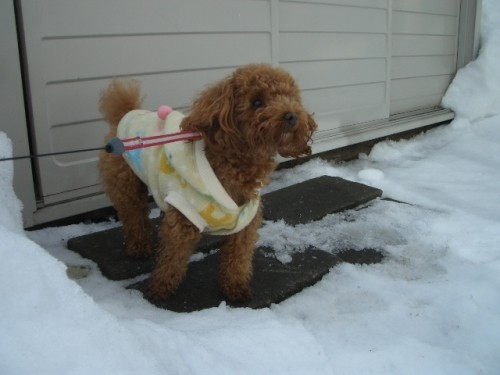 お外は楽しいでちよ～