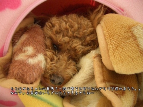 今、流行りの～