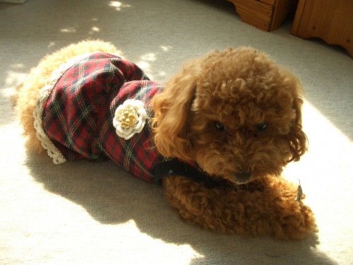 ご心配お掛けしました～