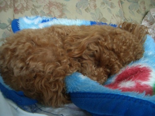 いじけてます。。