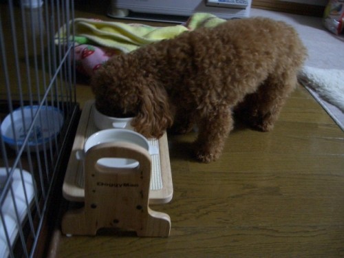 食べやすいかな？