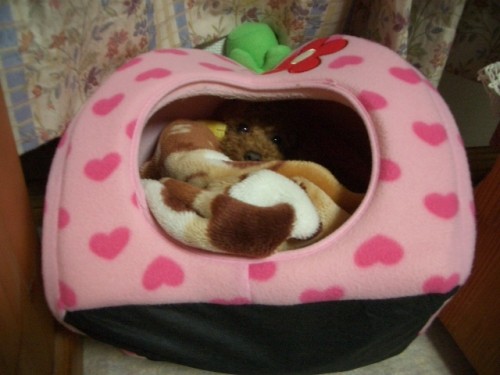 いちごハウスが変ですけど・・・