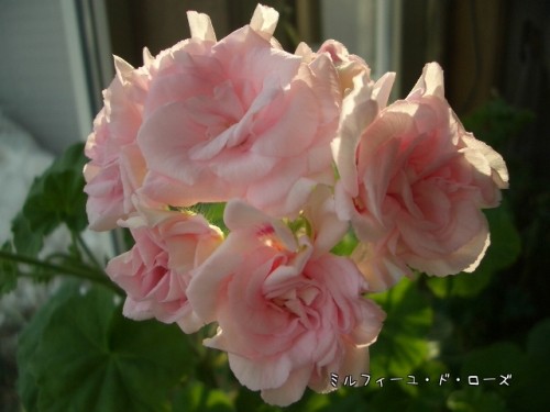 新学期が始まりますよ～