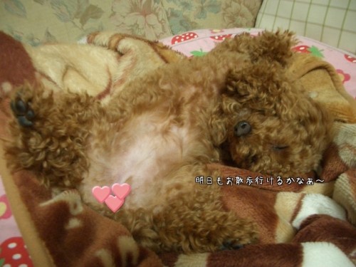 禁断の寝返り姿